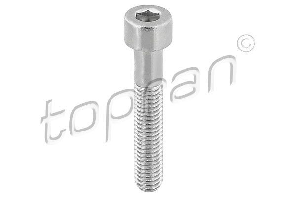 TOPRAN Bolt, brake caliper 110 708 VW POLO TOPRAN brake caliper bracket 110708
