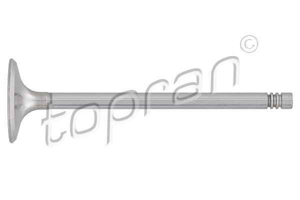 TOPRAN Βαλβίδα εισαγωγής 205 156 Βαλβίδα εισαγωγής TOPRAN Citroën C5 205 156