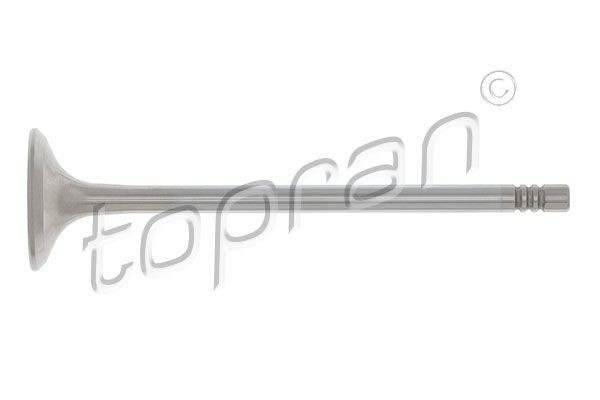 TOPRAN Udstødningsventil 205 579 TOPRAN 205 579 Udstødningsventil CHEVROLET Malibu V billig