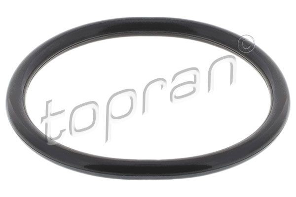 TOPRAN Guarnizione, Termostato 301 785 301 785 costo Guarnizione di tenuta acqua raffreddamento RENAULT KANGOO TOPRAN