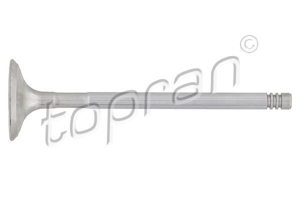 Exhaust valve TOPRAN 501 420 TOPRAN 501 420 2002 BMW 3 Series exhaust valve replacement