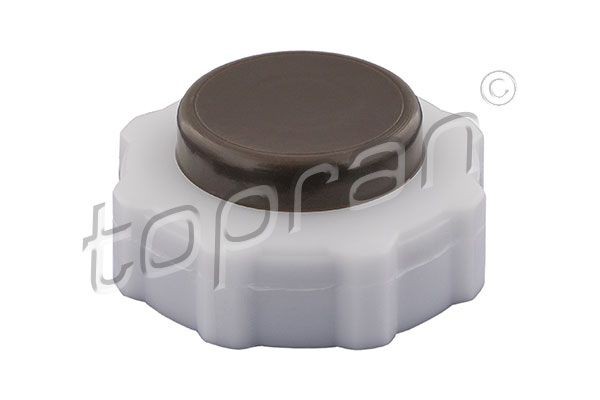 TOPRAN Expansion tank cap 700 431 TOPRAN 700 431 OPEL Astra L Hatchback (C02) expansion tank cap replacement