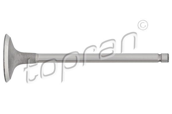 TOPRAN Inlaatklep 721 561 Inlaatklep TOPRAN STILO 721 561 goedkoop