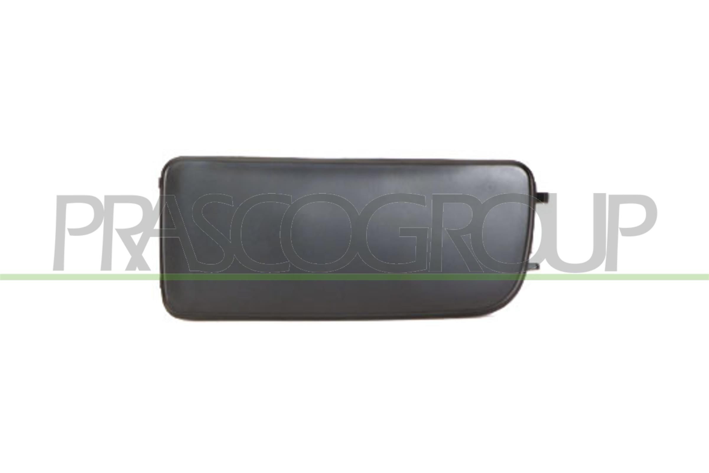 PRASCO Cover, light BM0141248 BMW X6 PRASCO grille BM0141248