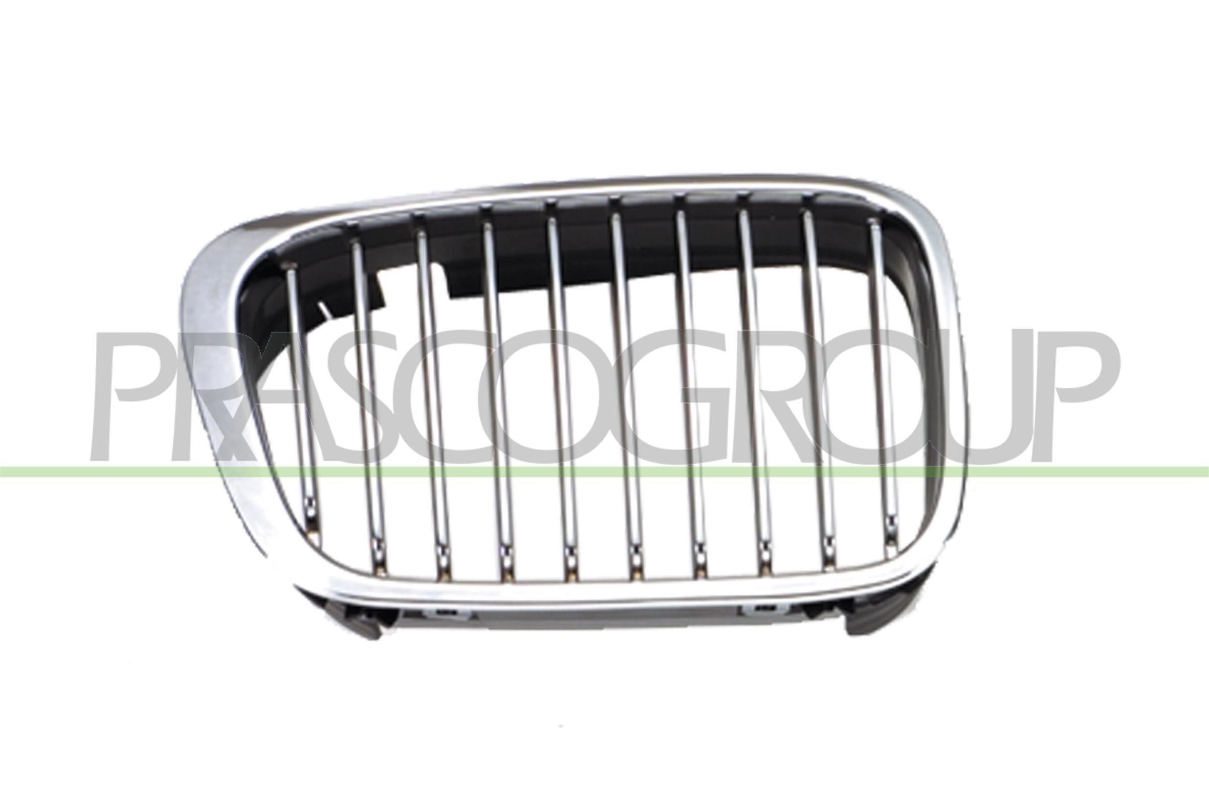 PRASCO Mrieżka chladiča BM0182003 PRASCO BM0182003 Športová mriežka 3 Compact (E46) cena