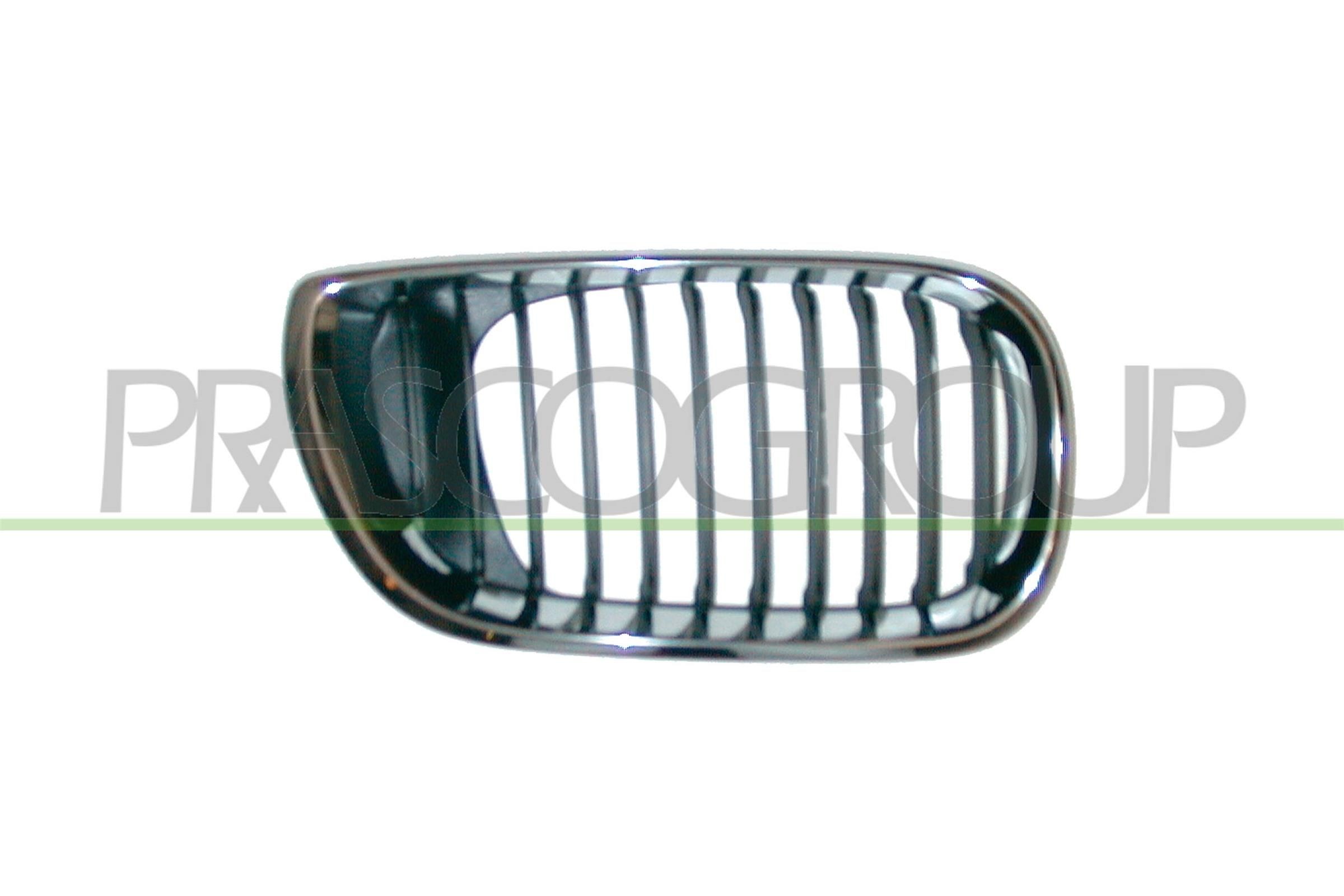 PRASCO Radiator Grille BM0202003 PRASCO BM0202003 genuine Jaguar E-PACE radiator grille price