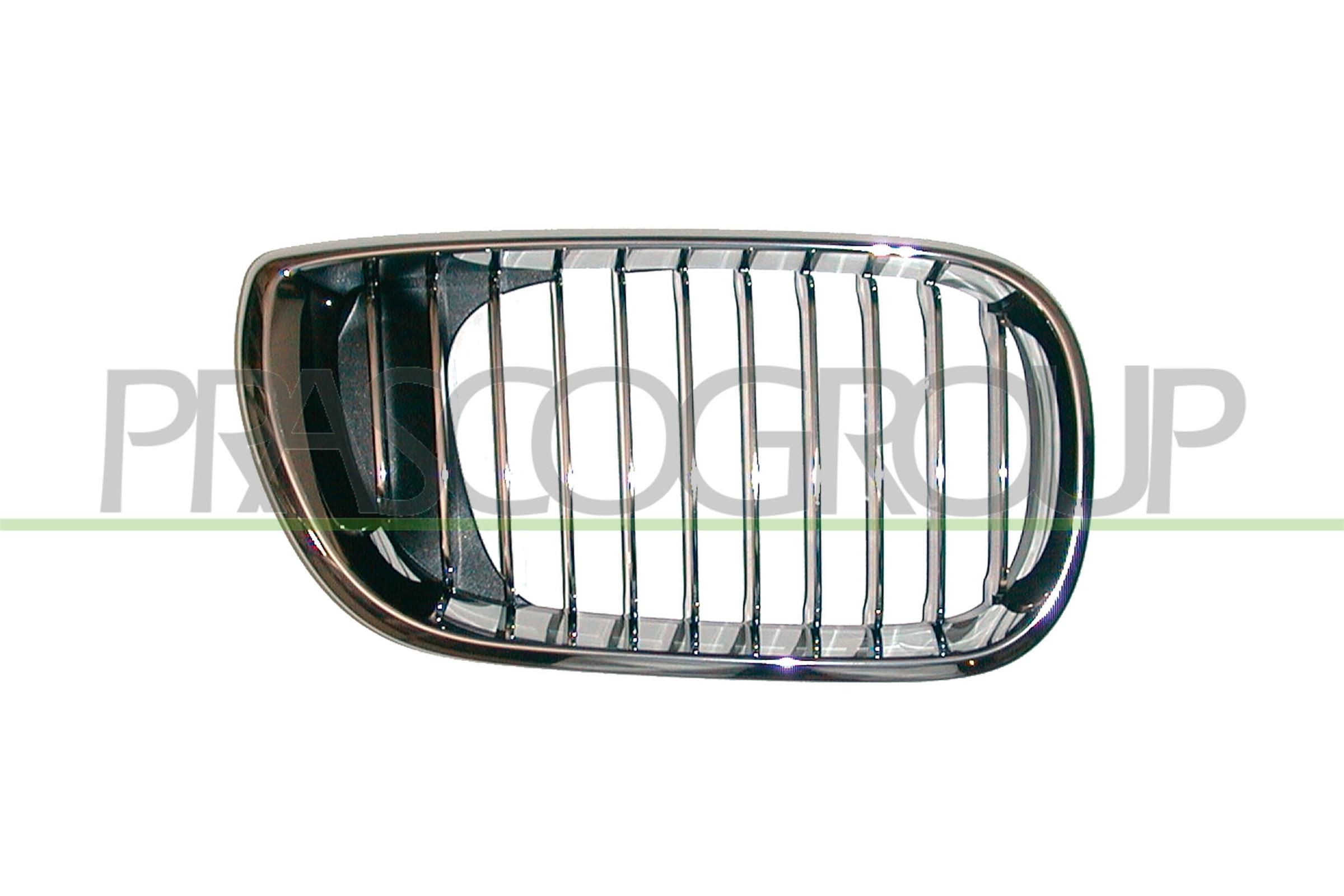 PRASCO Μάσκα ψυγείου BM0202013 Γρίλιες PRASCO BMW Σειρά 1 Premium BM0202013
