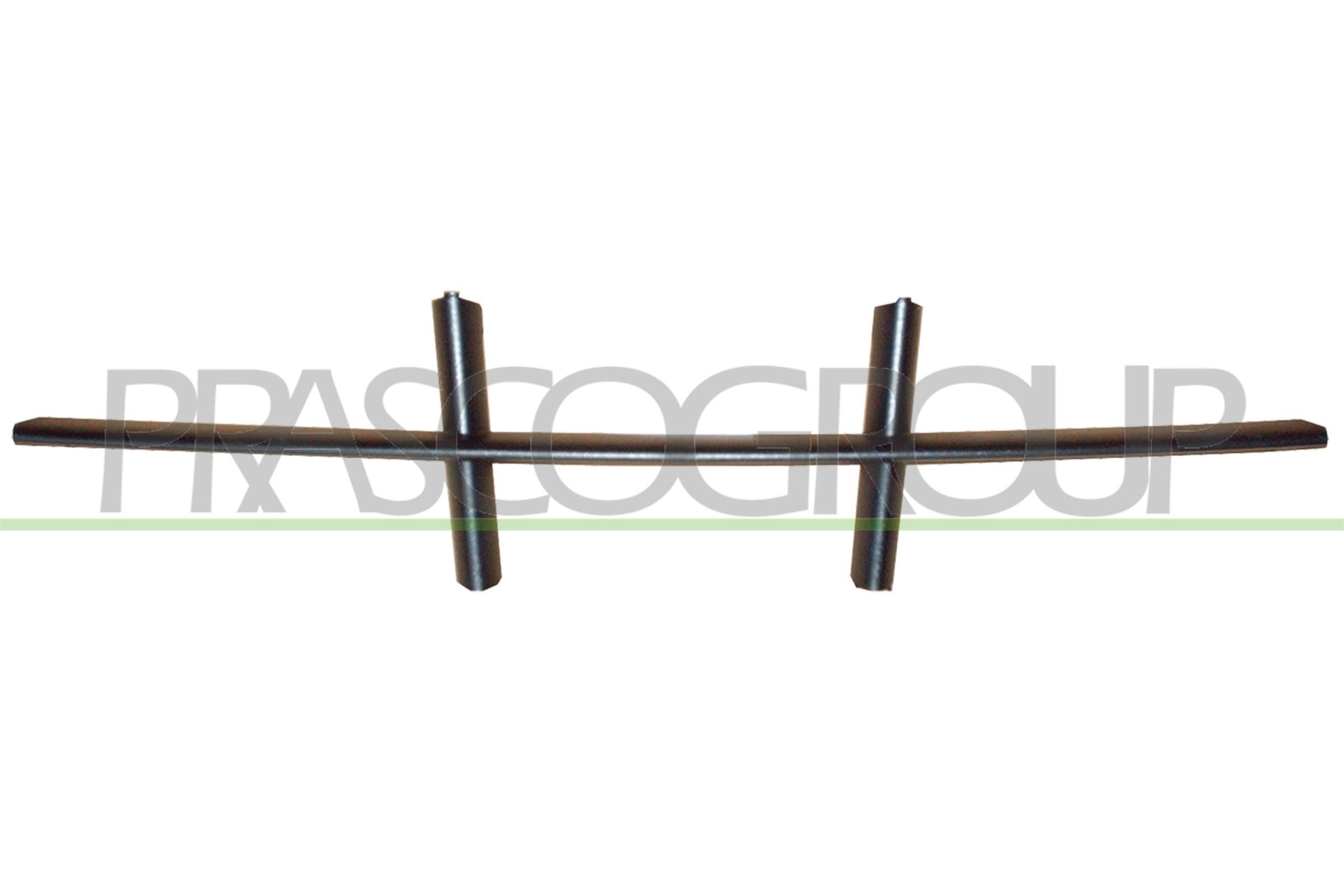 PRASCO Bumper grill BM0462120 BM0462120 PRASCO grille for BMW X6