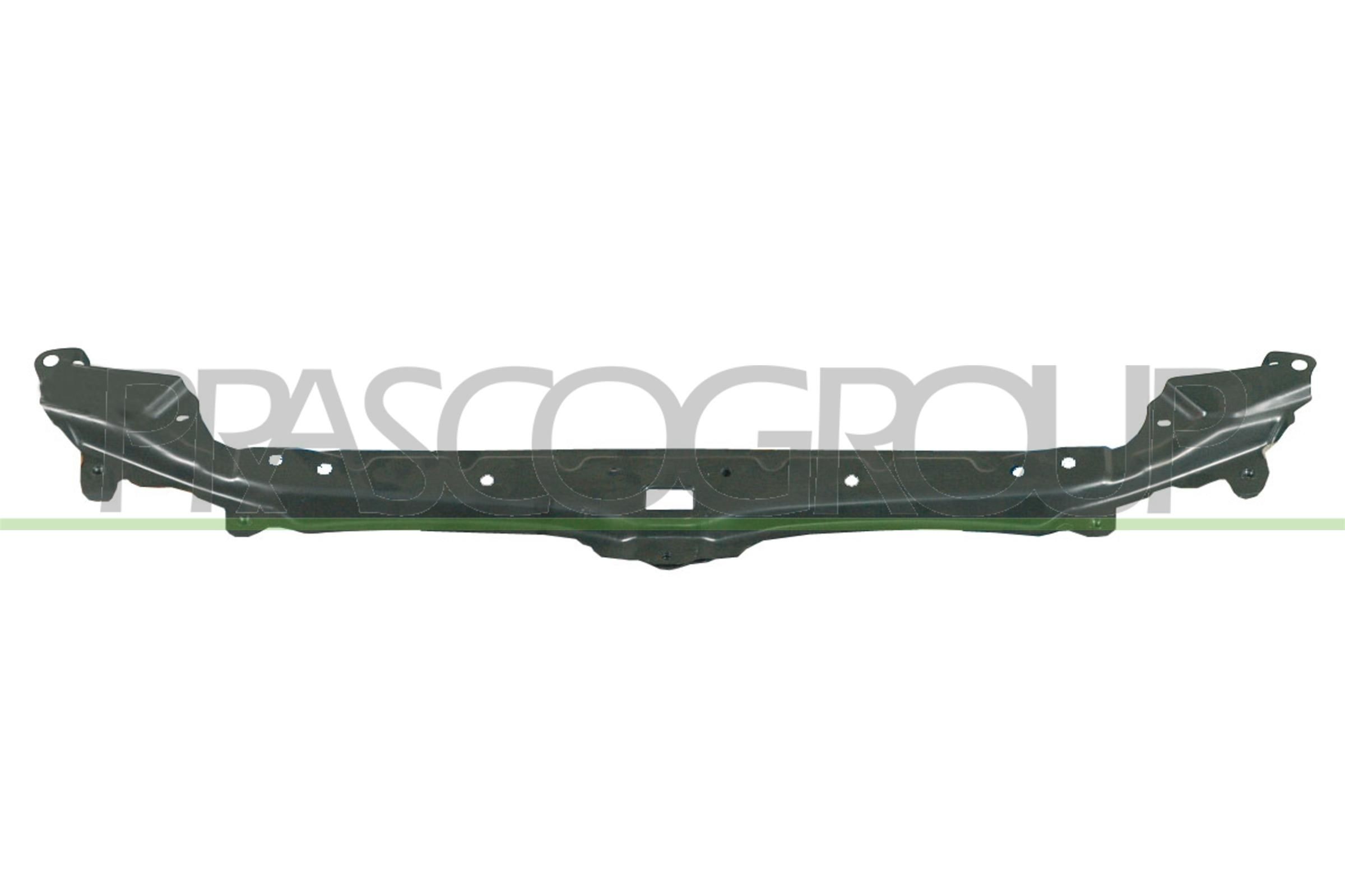 PRASCO Front kledning BM0463201 PRASCO BM0463201 Frontplate E83 pris
