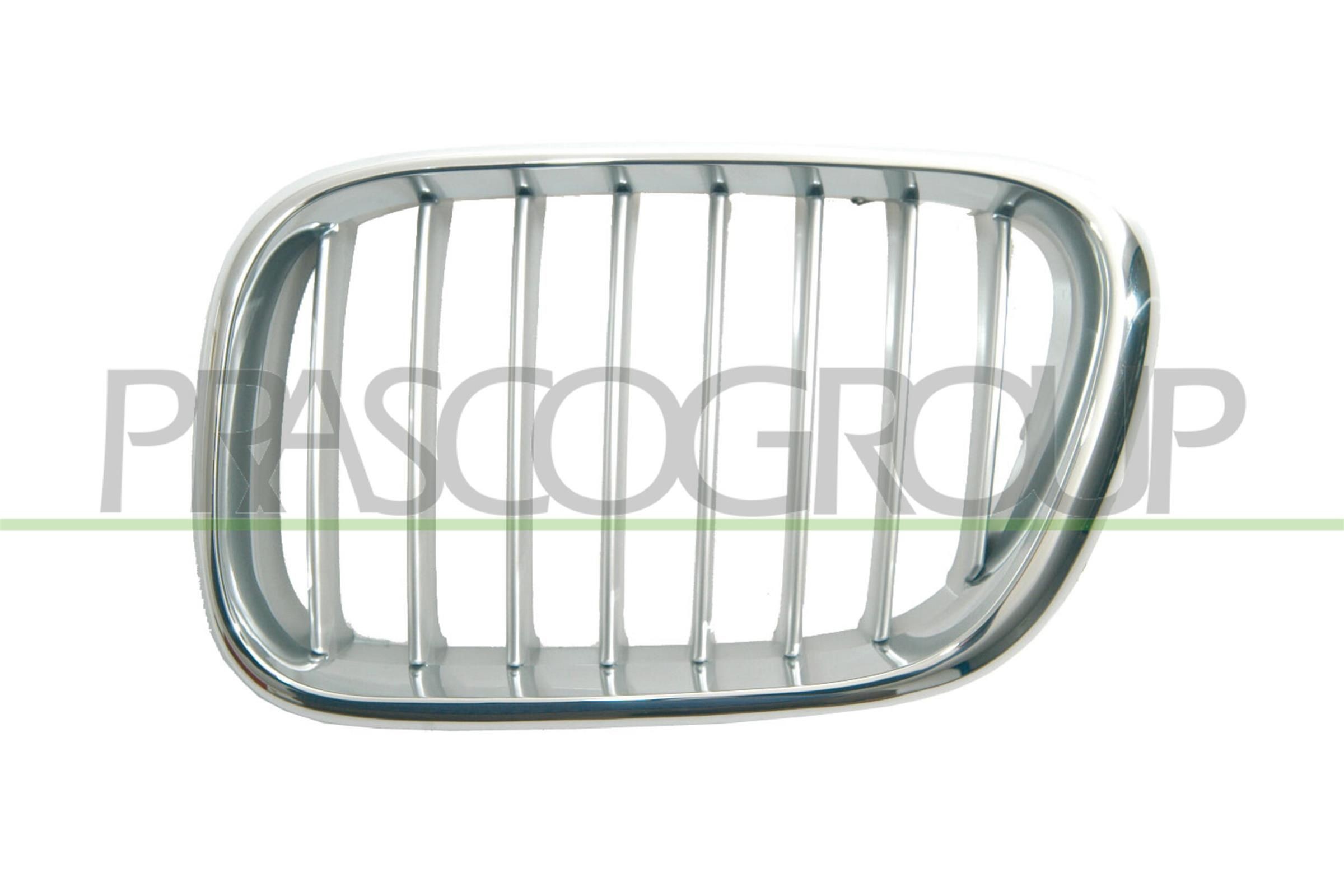 PRASCO Kylargrill BM8202014 BM8202014 PRASCO Kylarmaskering BMW