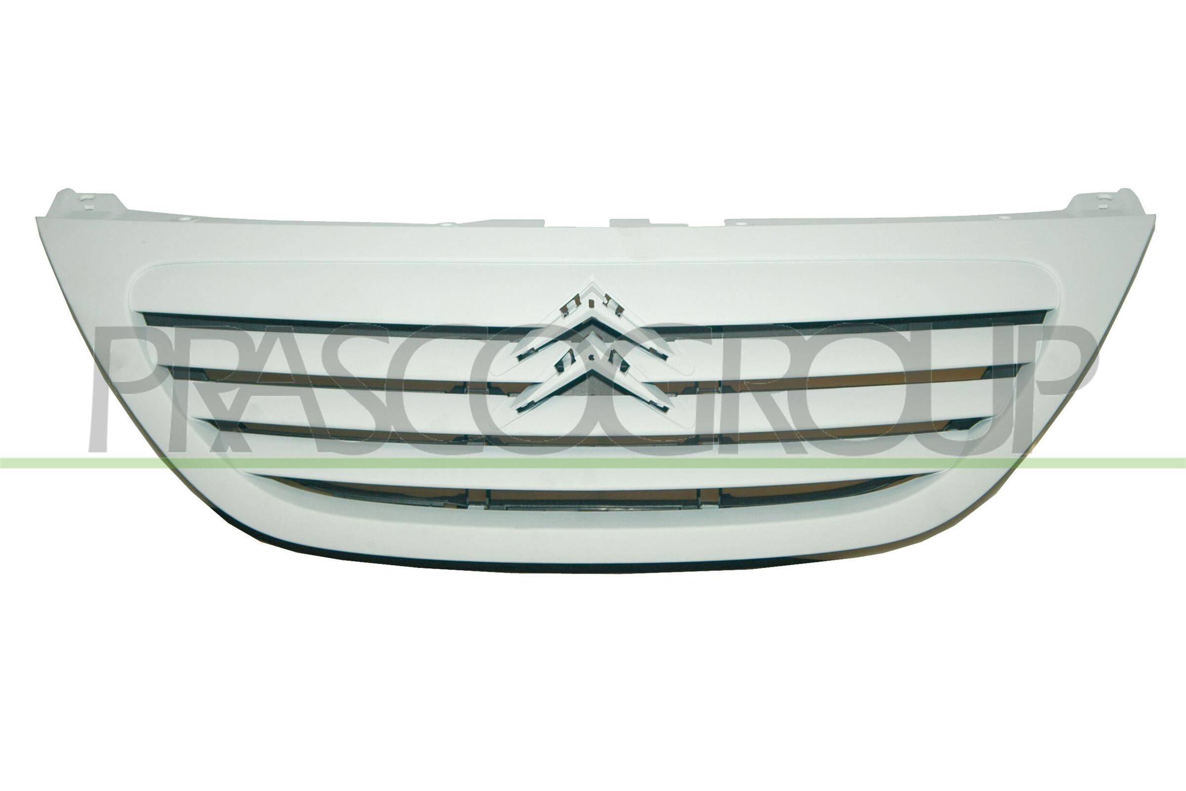 PRASCO Μάσκα ψυγείου CI3202001 Μάσκα ψυγείου PRASCO LEON CI3202001 φθηνά