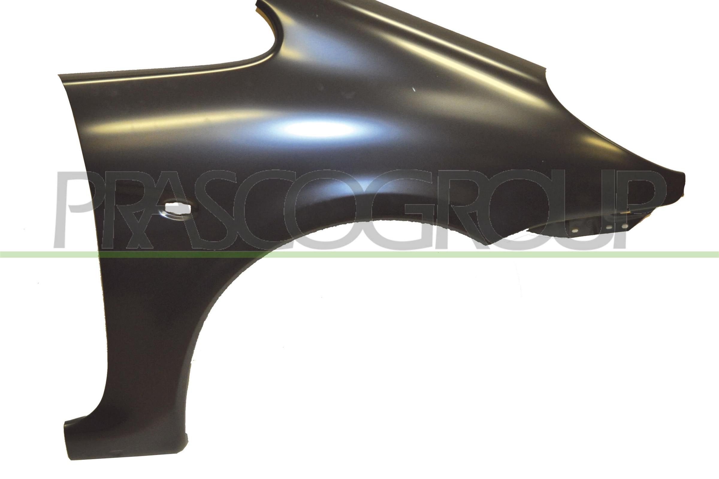 Spatbord PRASCO CI7173013 PRASCO CI7173013: Spatbord Citroen XSARA 2013