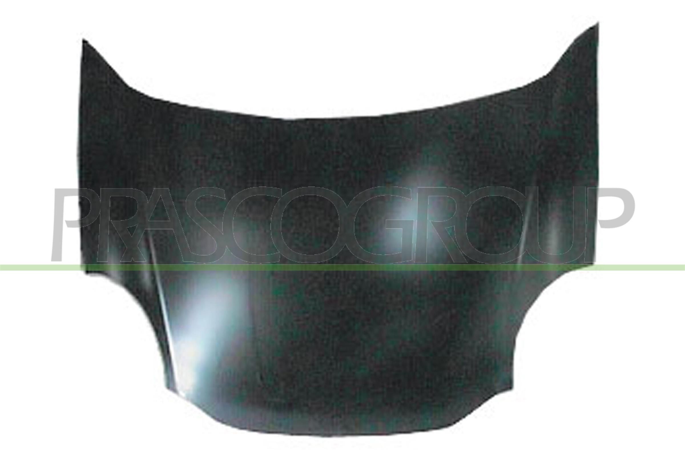 Motorpanser PRASCO DW3223100 PRASCO DW3223100: Panser Daewoo MATIZ 2000