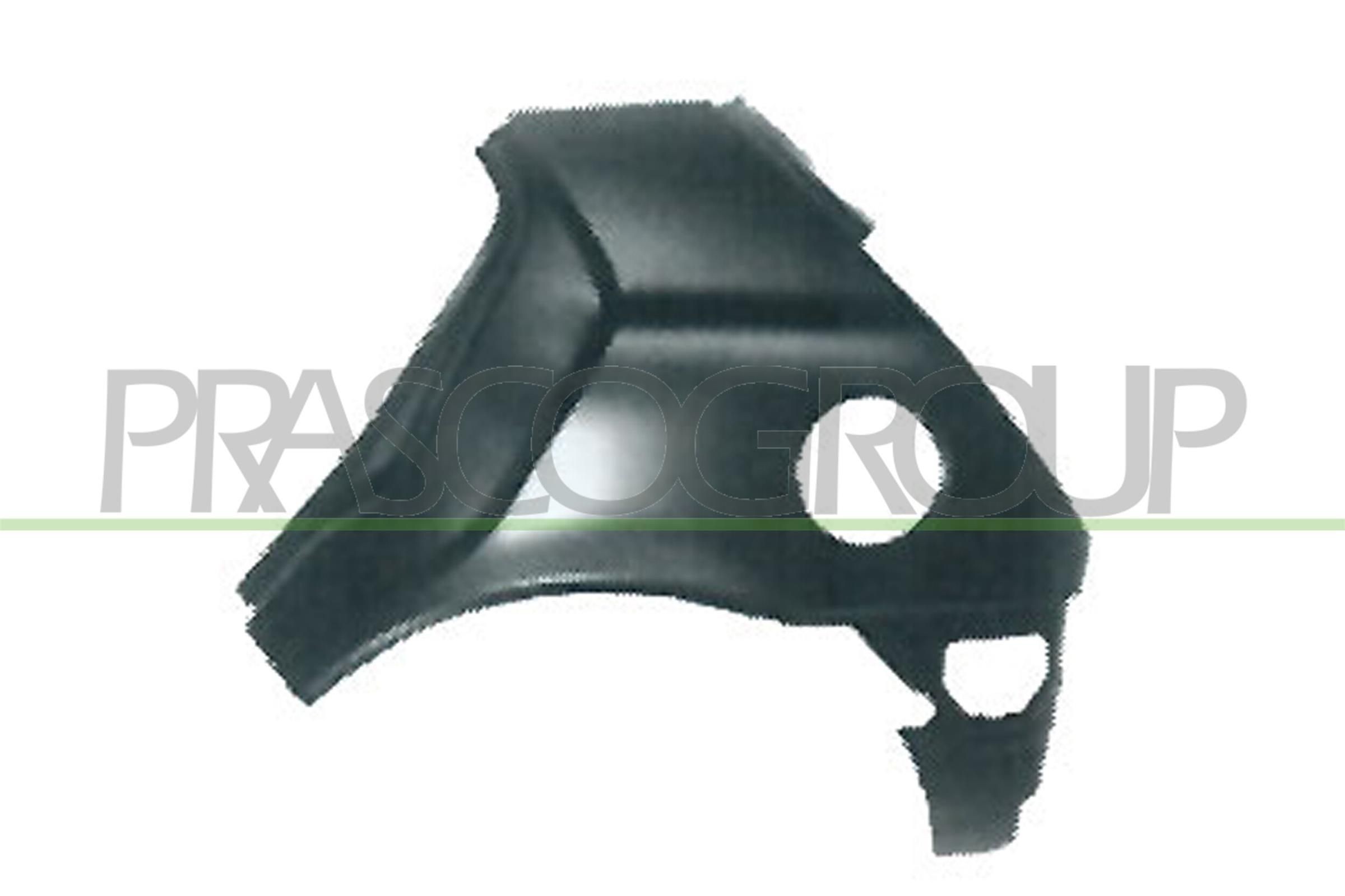 PRASCO Painel lateral FD0503064 Painel lateral PRASCO FORD FD0503064