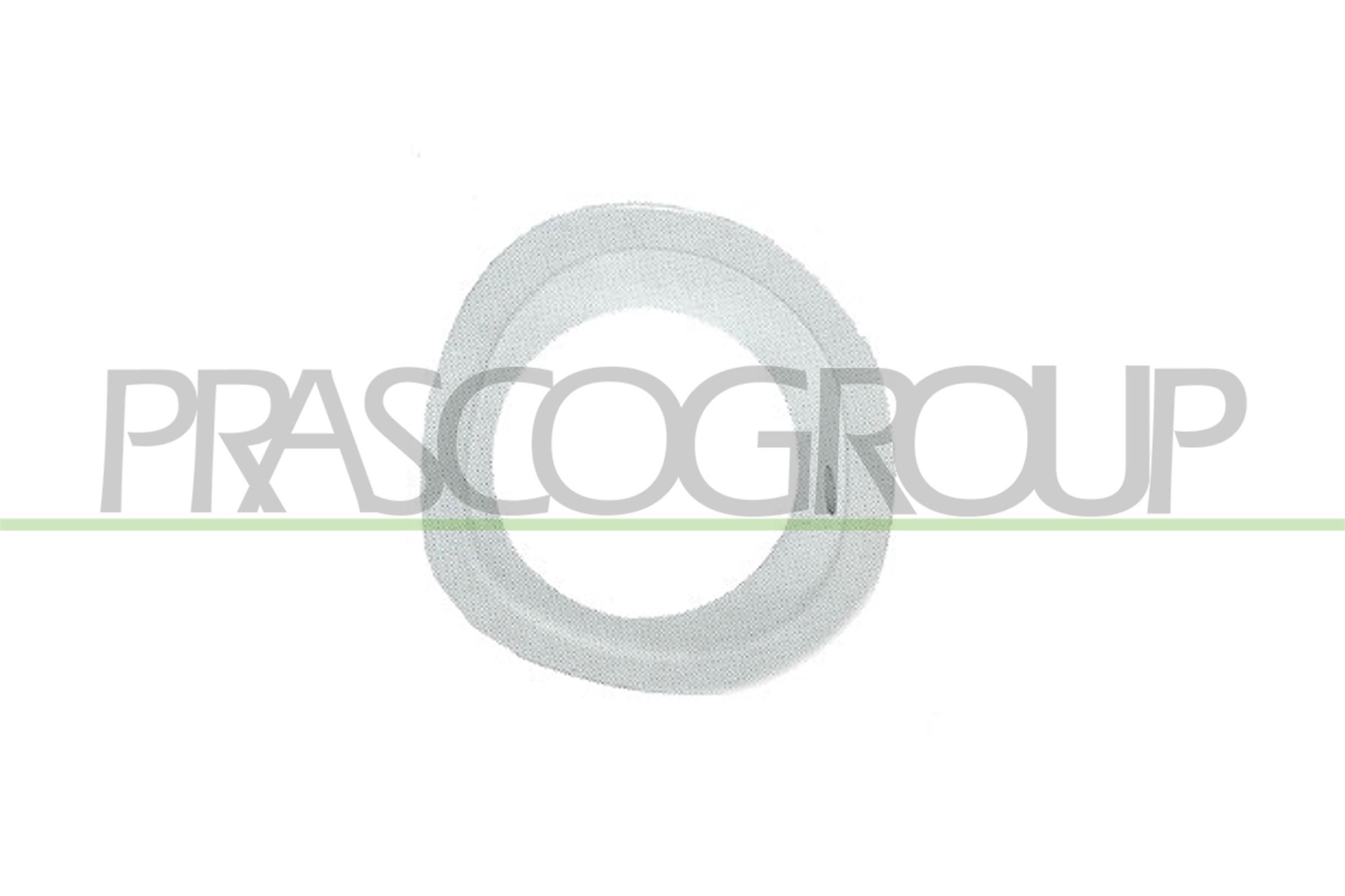 PRASCO Κάλυμμα, προβολείς ομίχλης FD1051248 Εξαρτήματα προβολέων ομίχλης PRASCO GALAXY FD1051248 φθηνά