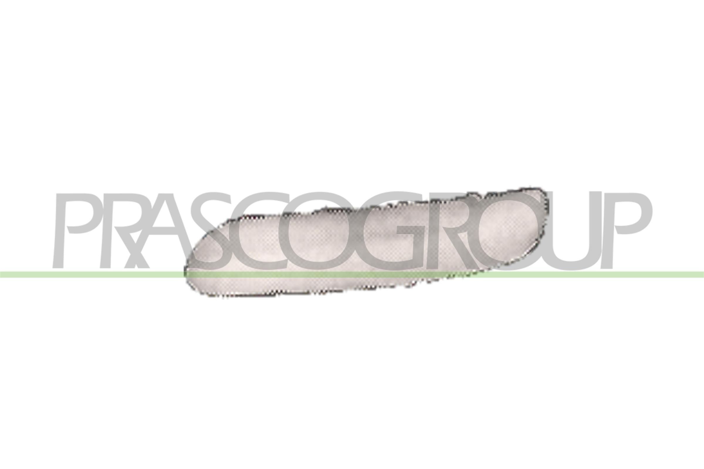 PRASCO Ehis- / kaitseliist, Põrkeraud MN3041244 PRASCO Premium MN3041244 Ehis- / kaitseliist, Põrkeraud