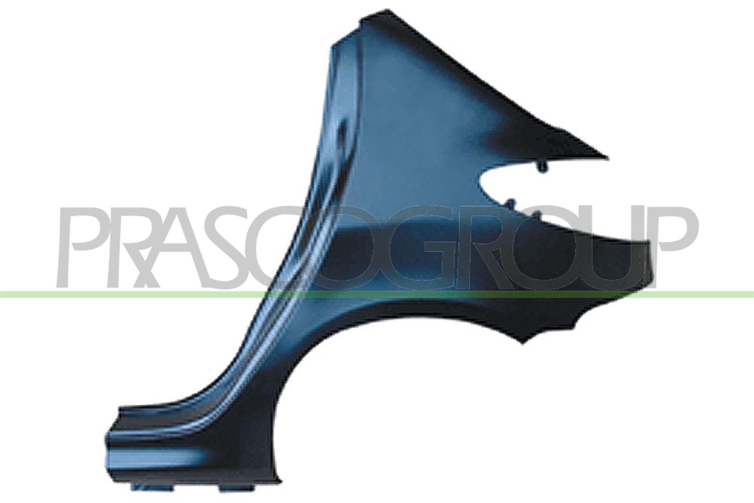 PRASCO Bočnica PG0093064 PG0093064 Bočnica PEUGEOT 404 PRASCO