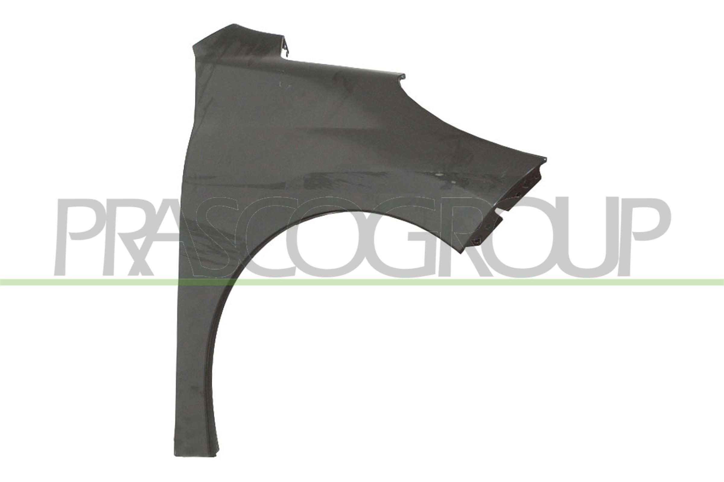 Φτερό PRASCO PG3203013 PRASCO Premium PG3203013 Φτερό PEUGEOT 207 2008