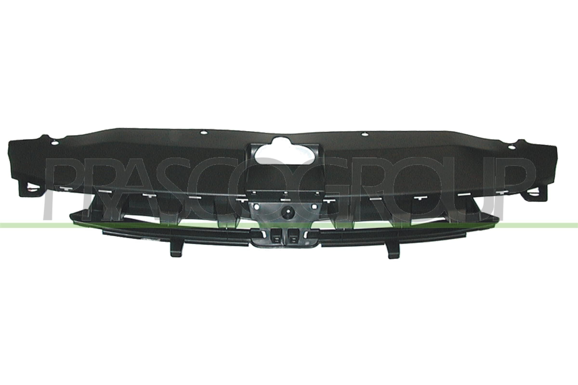 PRASCO Radiator Grille PG4202001 PRASCO PG4202001 Radiator Grille PEUGEOT 307 Estate (3E) 1.6 HDi 109 hp 2006