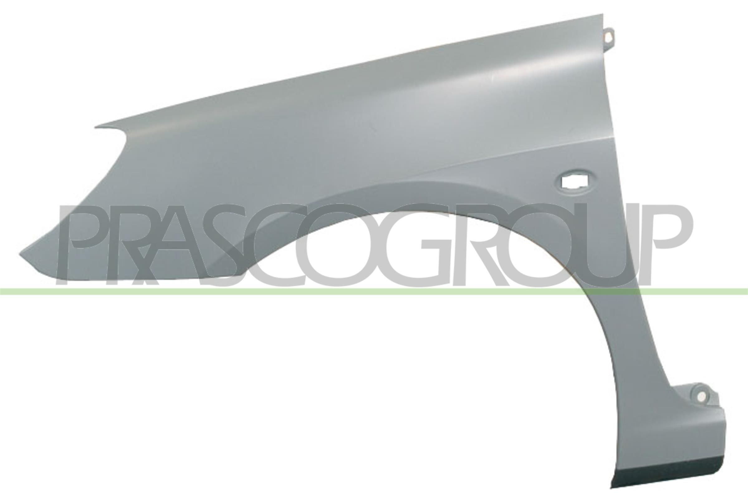 Poritiib PRASCO PG4223014 PRASCO Premium PG4223014: Poritiib Peugeot 307 2000