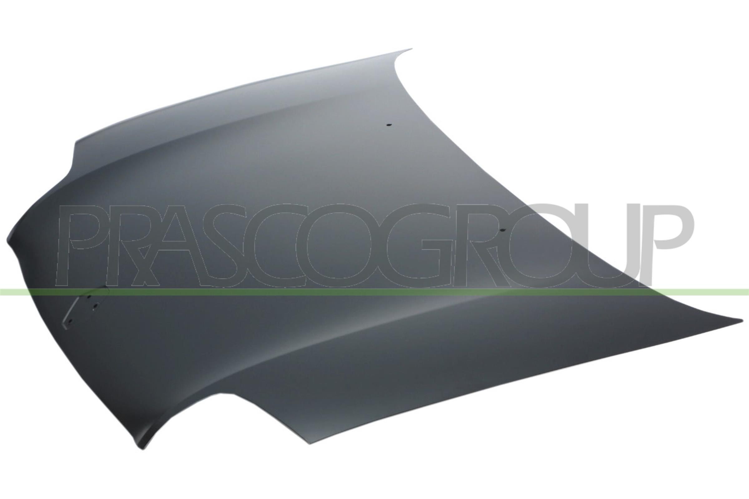 PRASCO Motorpanser RN0573100 PRASCO RN0573100 Motorpanser RENAULT 19 I Hatchback 1.7 94 hk 1990