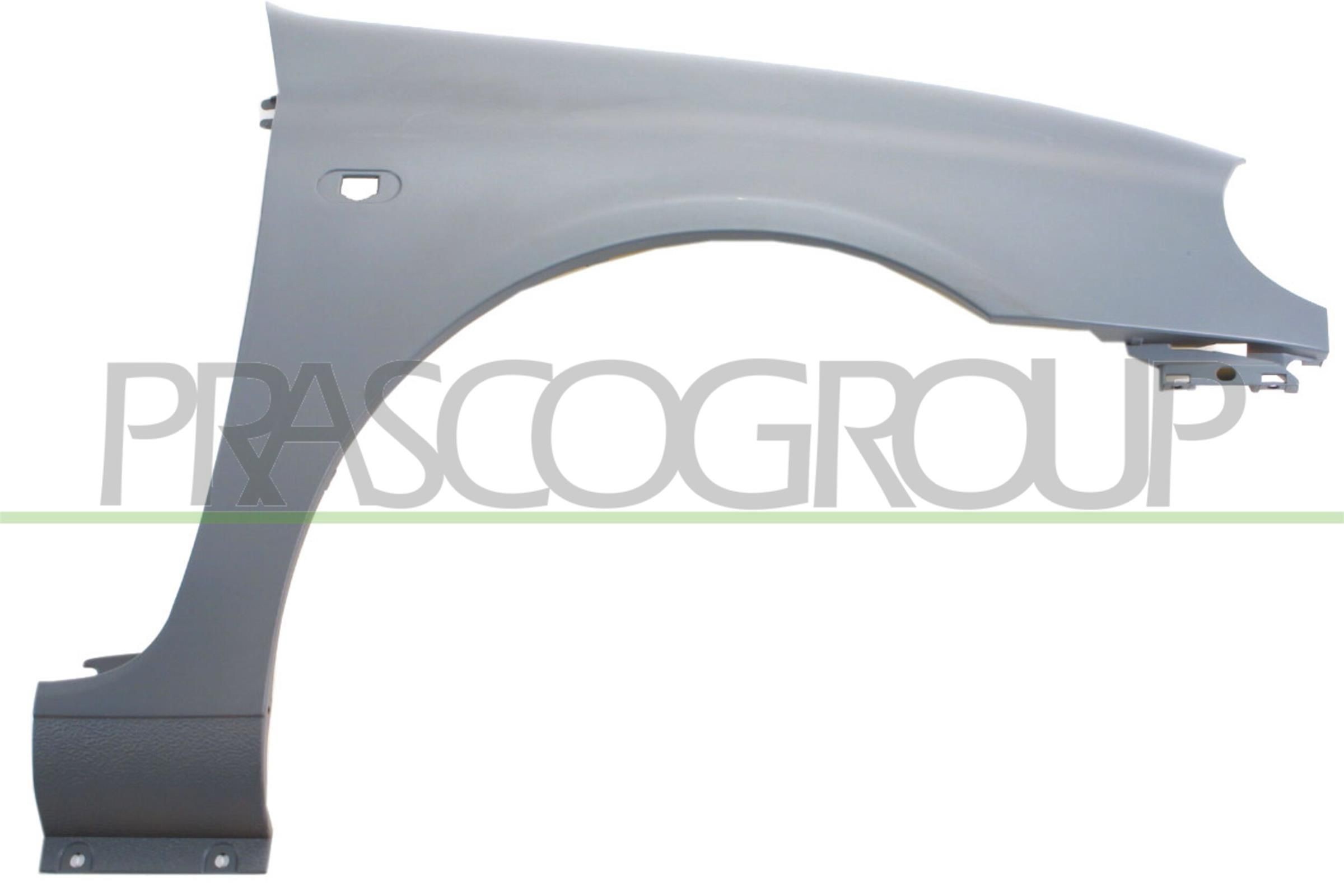 Skærm PRASCO RN3203003 PRASCO RN3203003 Forskærm og bagskærm RENAULT CLIO 2003