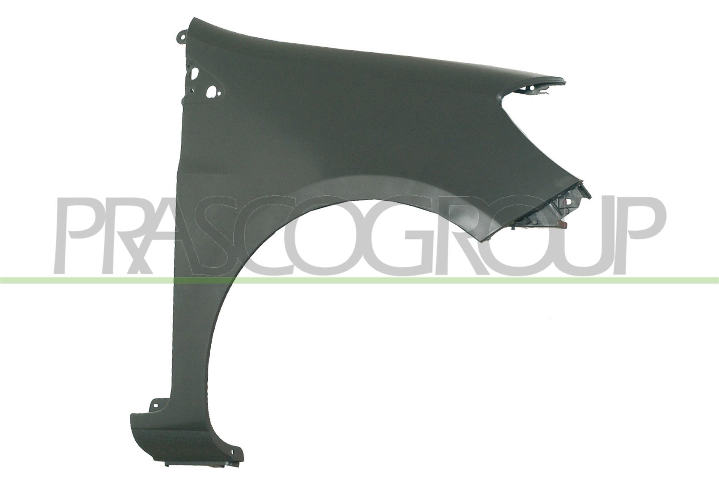 PRASCO Spatbord RN3253013 RN3253013 Premium Spatbord RENAULT LAGUNA PRASCO