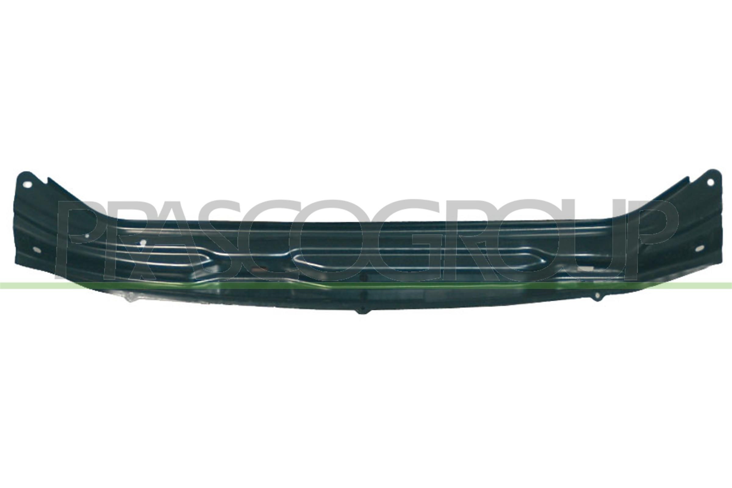 PRASCO Revestimento dianteiro RN9163201 RN9163201 Painel de radiador PRASCO RENAULT 19