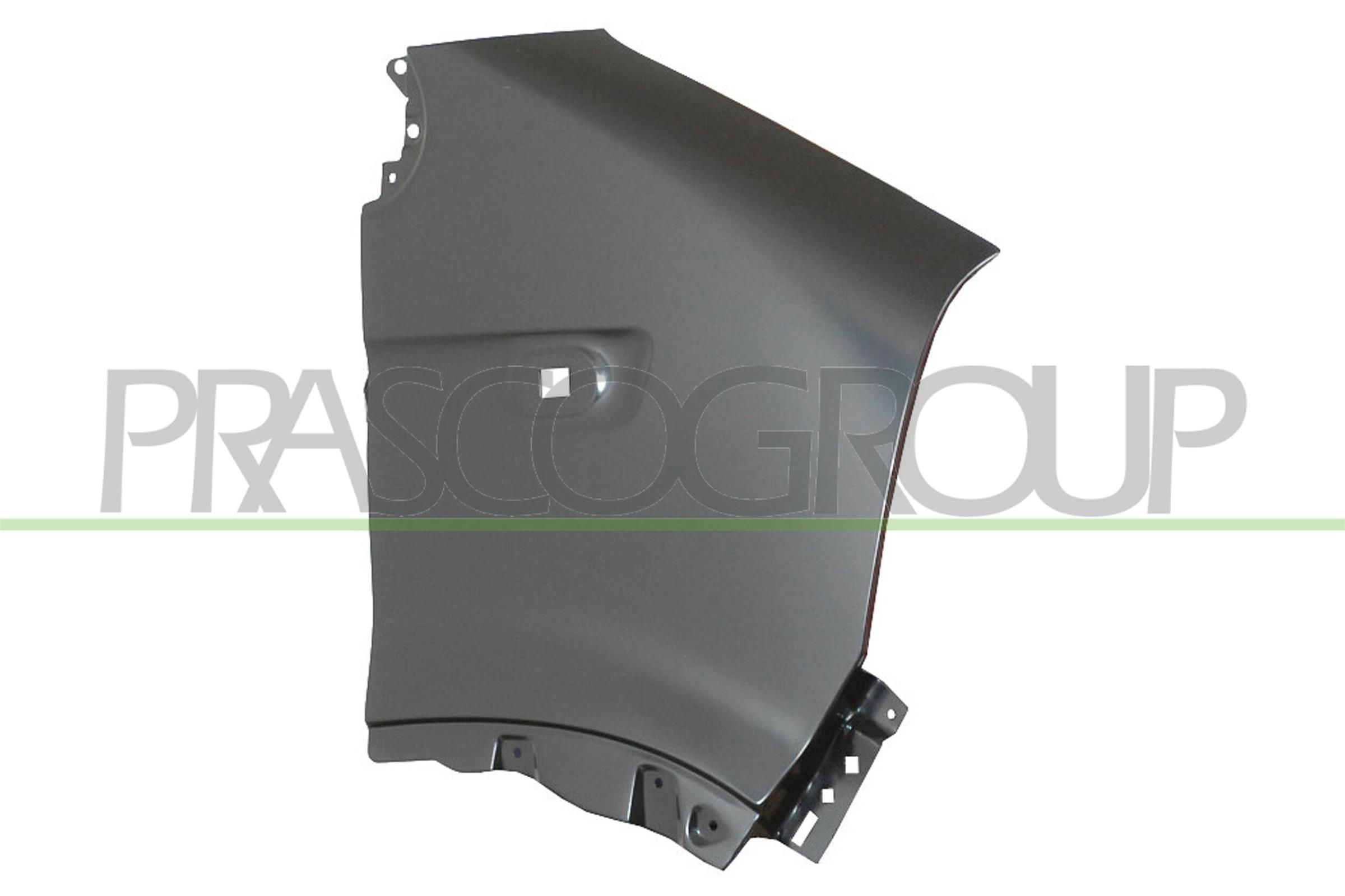 PRASCO Hjulskjerm RN9523013 PRASCO RN9523013 Skvettskjerm Nissan Interstar Van pris