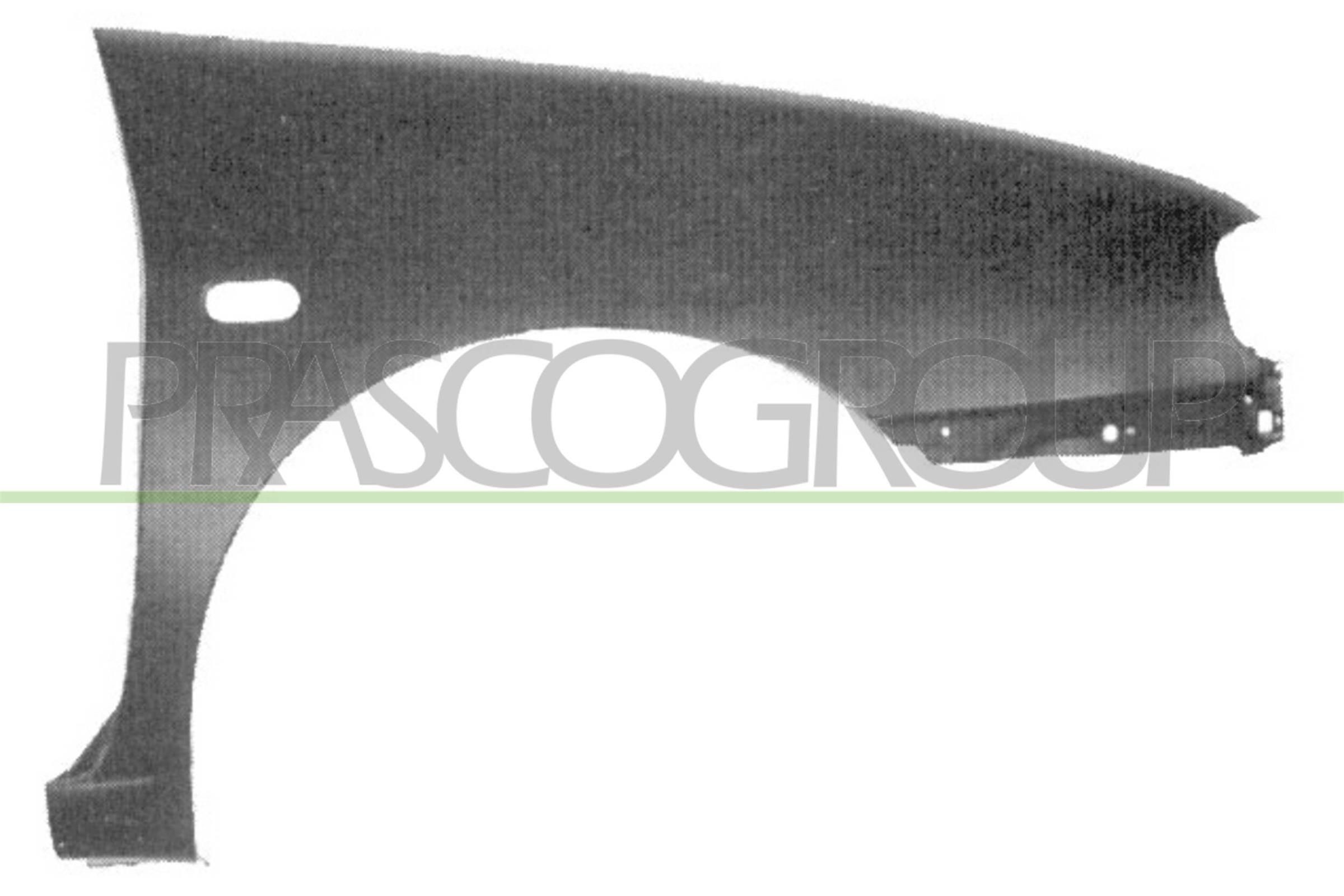 PRASCO Guarda-lamas ST0293003 ST0293003 Guarda-lamas PRASCO SEAT CORDOBA