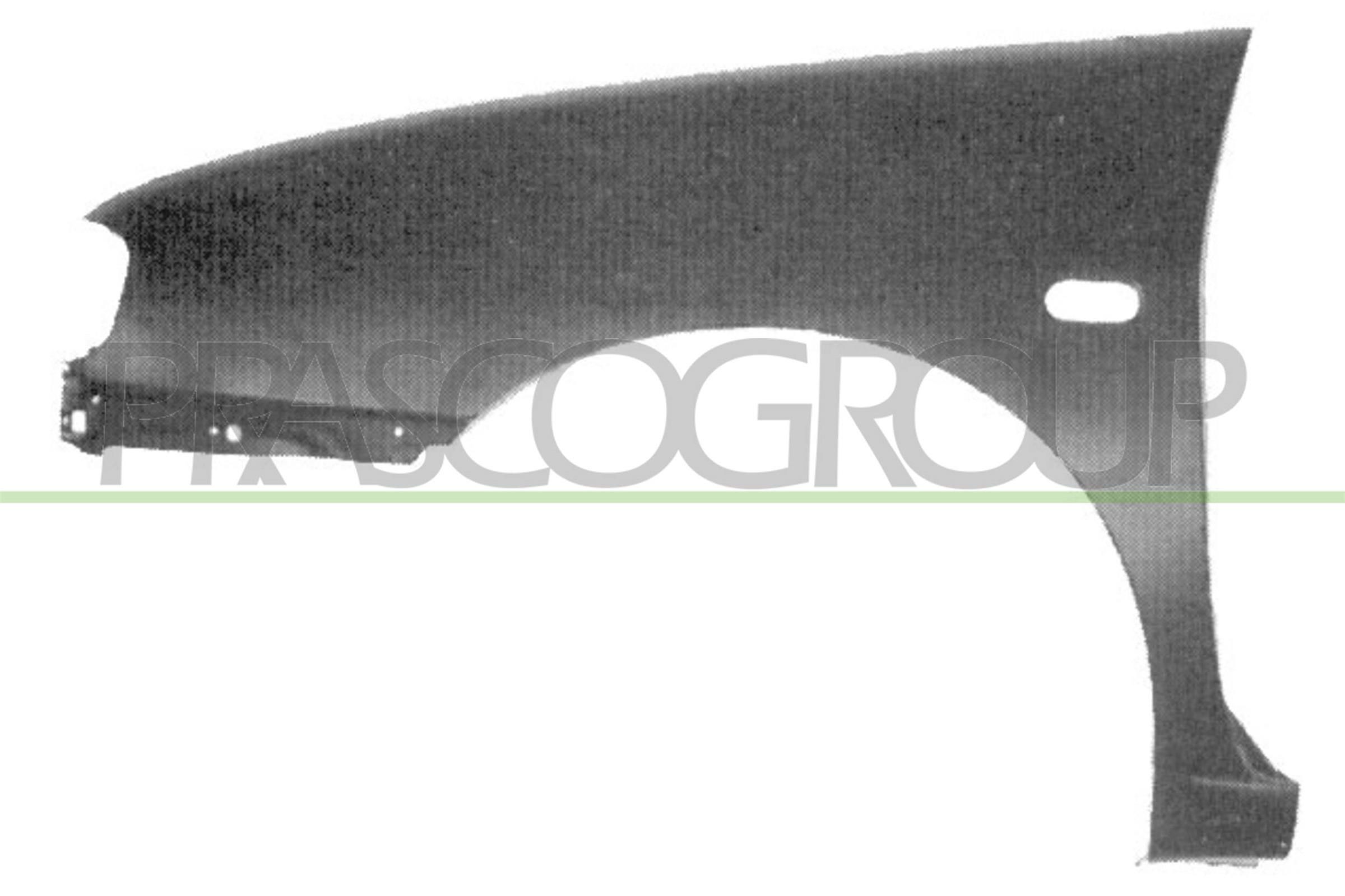 PRASCO Skærm ST0293004 PRASCO Forskærm og bagskærm SEAT ST0293004