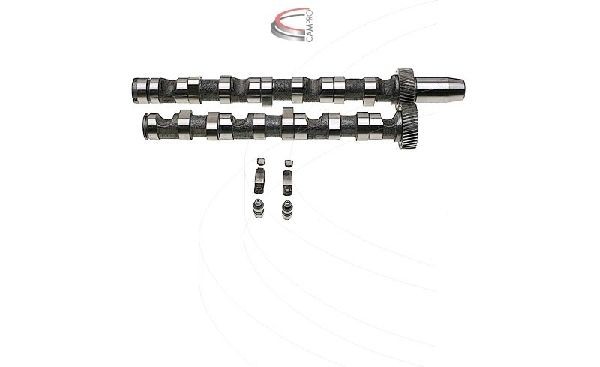 CAMPRO Kit albero a camme CP60238 CP60238 Albero a camme SKODA 105,120 CAMPRO costo