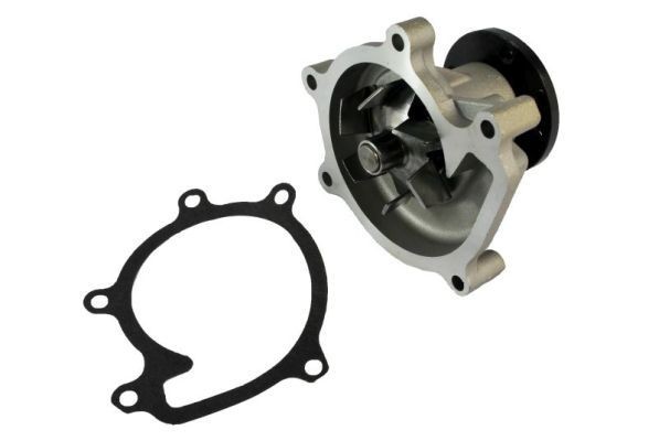 THERMOTEC Vannpumpe D12074TT Vannpumpe THERMOTEC Toyota URBAN CRUISER D12074TT