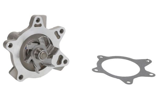 THERMOTEC Vannpumpe D12084TT D12084TT Vannpumpe TOYOTA URBAN CRUISER THERMOTEC