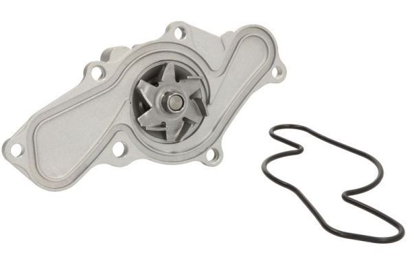 THERMOTEC Vannpumpe D13025TT THERMOTEC D13025TT Vannpumpe Mazda Xedos 6 pris