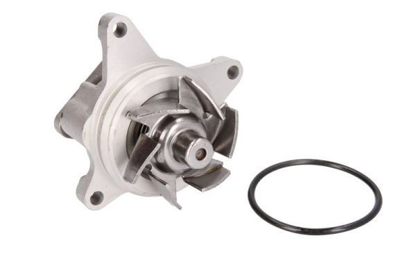 Vattenpump THERMOTEC D13038TT THERMOTEC D13038TT Vattenpumpar MAZDA TRIBUTE 2003