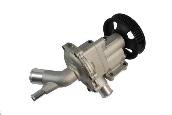 THERMOTEC Vannpumpe D1B029TT Vannpumpe THERMOTEC D1B029TT billige