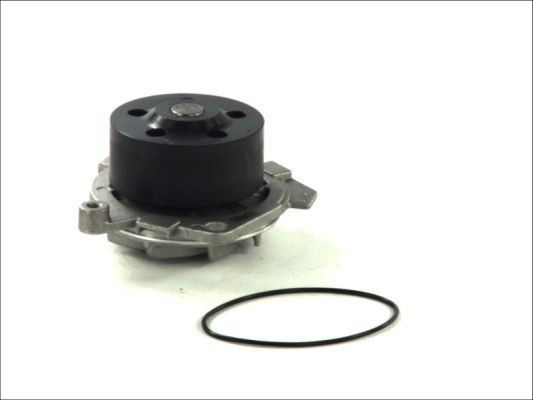 Pompe à eau THERMOTEC D1D019TT THERMOTEC D1D019TT: Pompe à eau Alfa Romeo SPIDER 2005