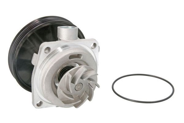 THERMOTEC Pompa acqua D1F065TT D1F065TT costo Pompa acqua FIAT PUNTO THERMOTEC