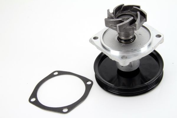 Vesipumppu THERMOTEC D1H015TT THERMOTEC D1H015TT: Vesipumpun Fiat UNO 2010