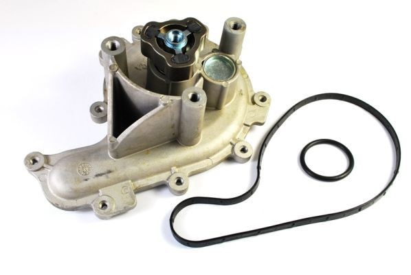 THERMOTEC Waterpomp D1P041TT THERMOTEC D1P041TT Koelwaterpomp Transit Mk7 Bus (V363) prijs