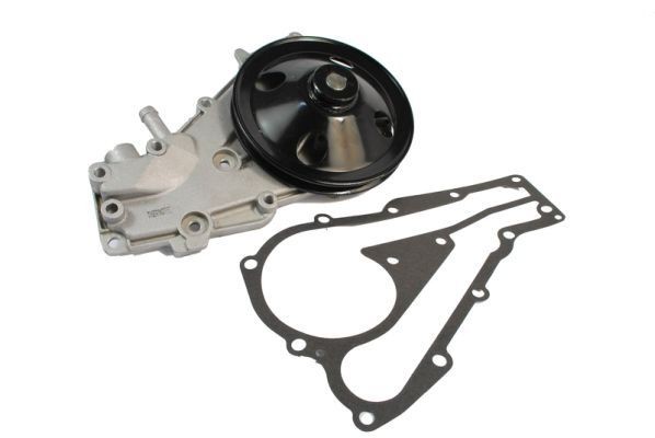 THERMOTEC Vannpumpe D1R018TT D1R018TT Vannpumpe RENAULT EXPRESS THERMOTEC