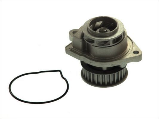 THERMOTEC Αντλία νερού D1W022TT D1W022TT THERMOTEC Τρόμπα νερού Seat φθηνά