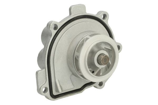 THERMOTEC Vannpumpe D1X047TT D1X047TT Vannpumpe CHEVROLET MATIZ THERMOTEC