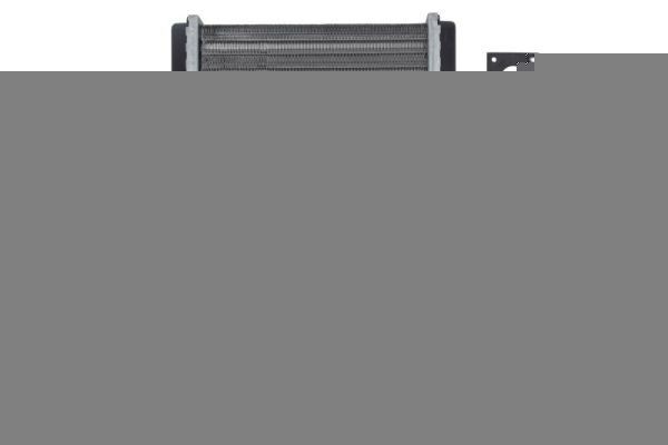 THERMOTEC Kachelradiateur, interieurverwarming D61003TT THERMOTEC D61003TT Voorverwarmer interieurverwarming Nissan Pickup D22 goedkoop