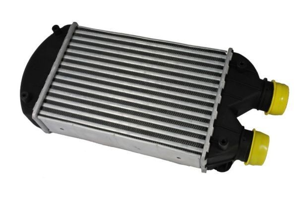 Intercooler THERMOTEC DAF002TT THERMOTEC DAF002TT Ladeluftkøler FIAT MULTIPLA 1999