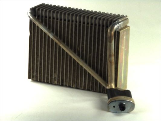 THERMOTEC Εξαεριωτής, σύστημα κλιματισμού KTT150000 Εξαεριωτής THERMOTEC Ford TRANSIT CONNECT KTT150000