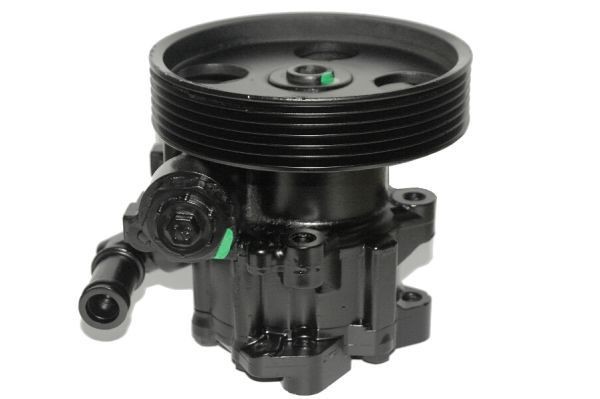 LAUBER Servopump 55.0331 55.0331 LAUBER styrservopump FIAT 124