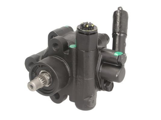 LAUBER Servo čerpadlo 55.0790 Čerpadlo posilňovača riadenia LAUBER ALTIMA 55.0790 lacné