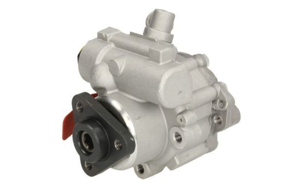 LAUBER Servopump 55.5102 LAUBER 55.5102 Servopump 110 Sedan (L) original